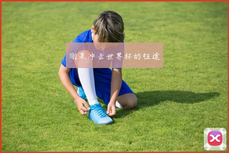 刚果冲击世界杯的征途