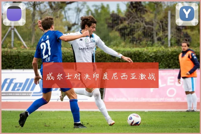 威尔士对决印度尼西亚激战