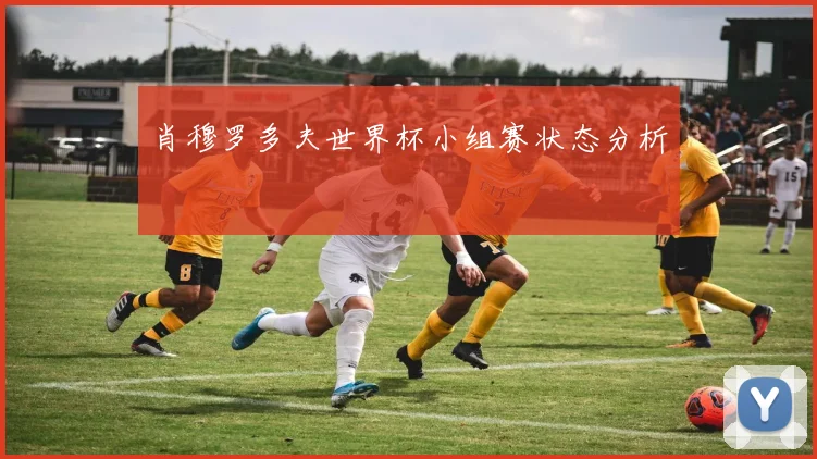 肖穆罗多夫世界杯小组赛状态分析