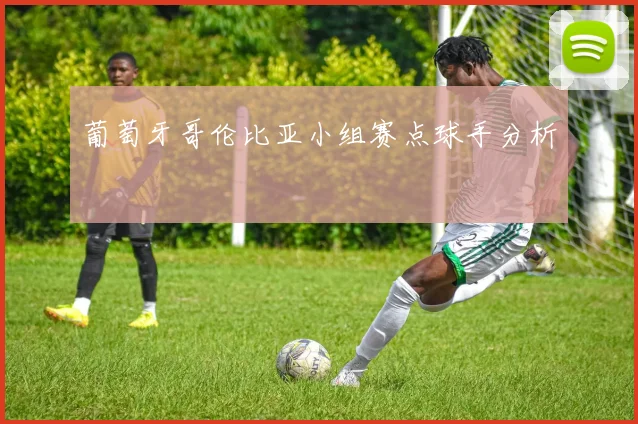 葡萄牙哥伦比亚小组赛点球手分析