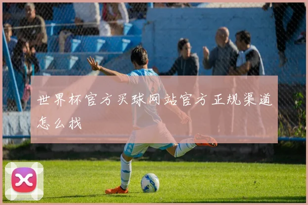 世界杯官方买球网站官方正规渠道怎么找