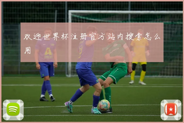 欢迎世界杯注册官方站内搜索怎么用